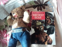smokey bear main_02